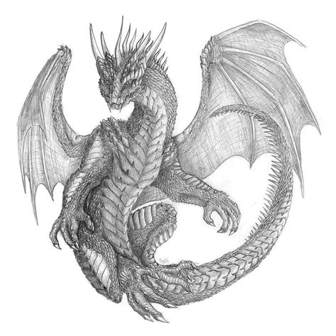 A Dragon By Bravebabysitter On Deviantart