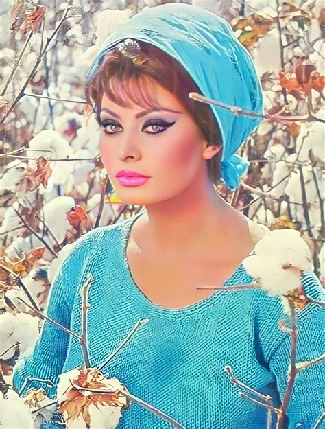 Sofia Loren Vintage Hollywood Classic Hollywood Most Beautiful Women