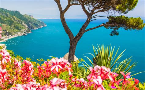 Download Wallpapers Amalfi Sea Coast Flowers Mountains Italy