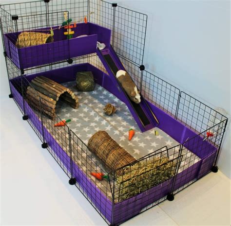 Diy Guinea Pig Cage Cleaner How To Clean Your Guinea Pigs Cage