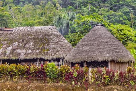 Indigenous Houses At Amazonia Ecuador Stock Image Image Of Amazon