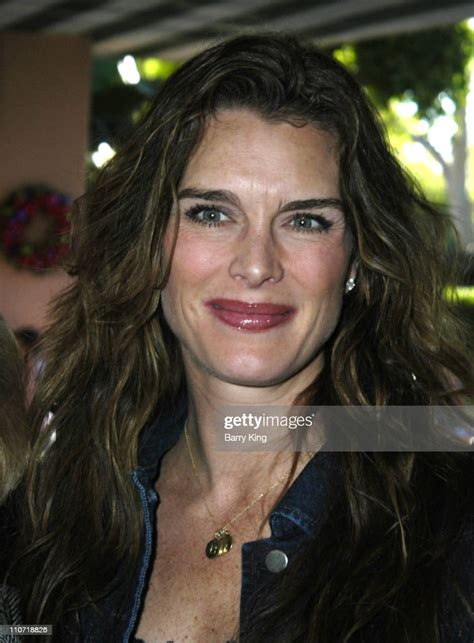 Brooke Shields During The Hollywood Reporters Women In Entertainment