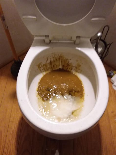 A Shitty Toilet Rtoilet