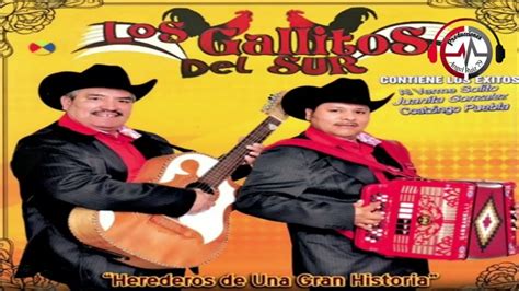 Los Gallitos Del Sur Puros Corridos Mix Youtube