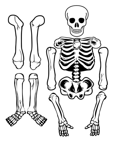 Cut Out Printable Skeleton Bones Template Printable Templates