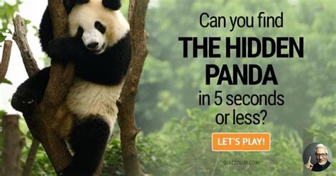 Can You Find The Hidden Panda In 5 Personality Test Quizzclub