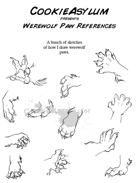 Werewolf Paw Ref By Cookieasylum On Deviantart Werewolf Drawing