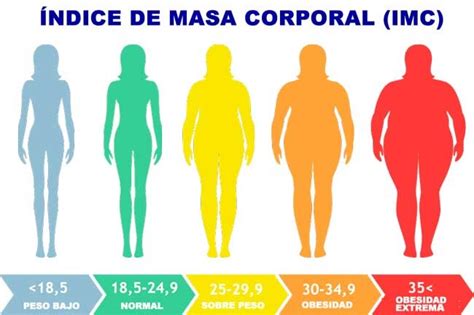 obesity and assisted reproduction ivf icsi centro médico manzanera