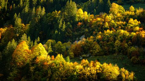 Switzerland In Autumn Colours On Behance