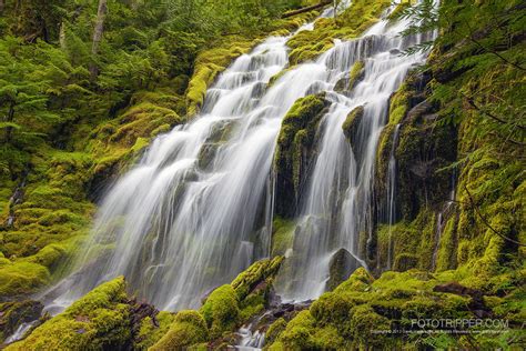 Upper Proxy Falls Photo Tips Oregon Fototripper