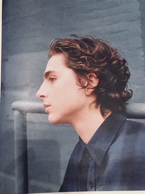 Timothée Chalamet Heres What You Need To Know About Timothée