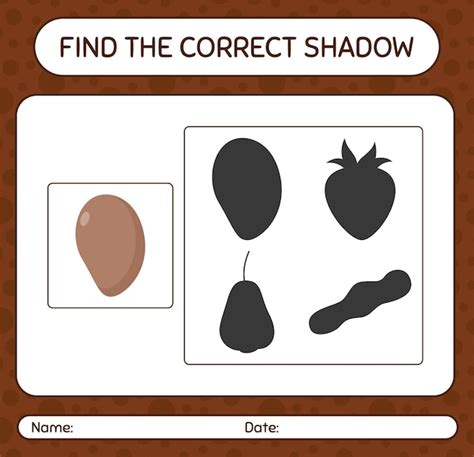 Premium Vector Find The Correct Shadows Game With Sapote Worksheet