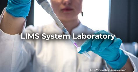 LIMS System Laboratory: What to Look for When Choosing a LIMS