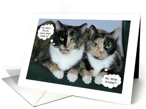 Happy Mothers Day Humorous Cats Card 450908