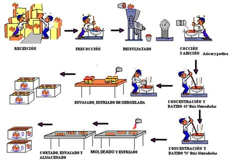 Pin En Proceso De Elaboración De Mermelada