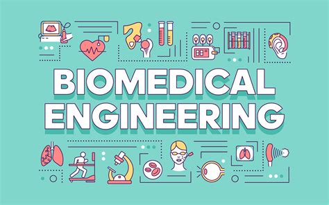 Top Biomedical Engineering Programs