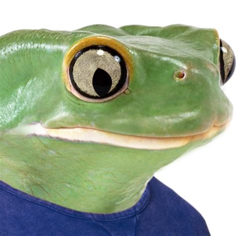 Sadfrog Irl Feels Bad Man Sad Frog Know Your Meme