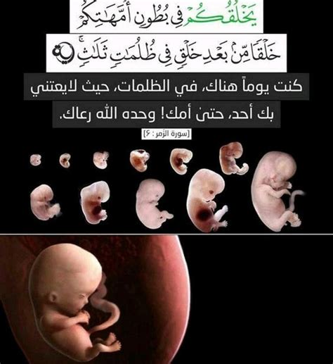 Pin By Asmaa Alabsi On Islam Quran Book Sweet Words Islamic Quotes