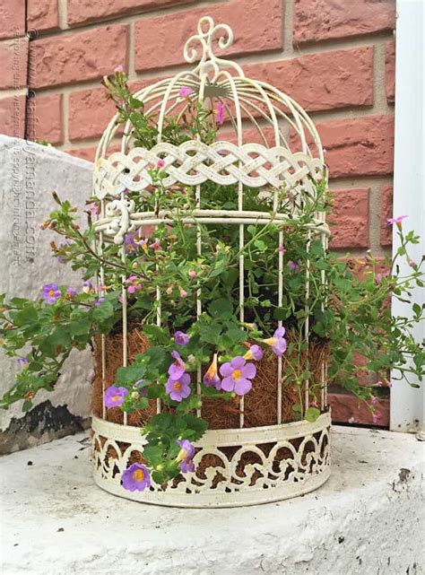 Birdcage Flower Planter A Beautiful Way To Display Your
