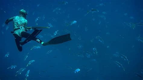 Underwater Hunting Freediving Spearfishing Youtube