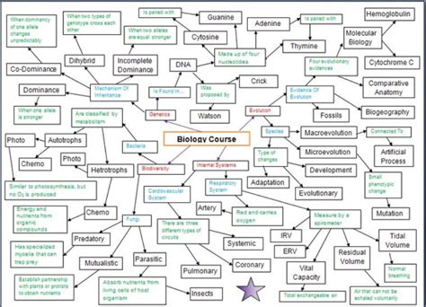 15 Concept Map Examples In Practice