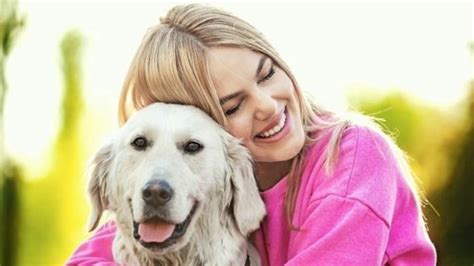 Hipersalivación Del Perro Síntomas Causas Y Remedios