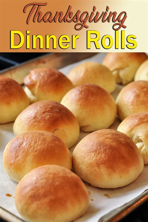 enticing thanksgiving dinner roll recipe