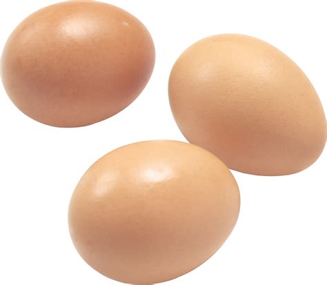 Яйца яйцо Png