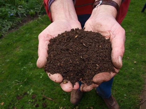 Making Vermicompost At Home A Full Guide Gardening Tips