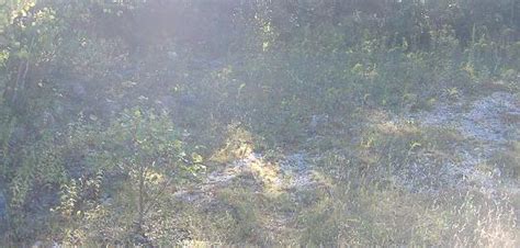 From temporary fencing to pvc fencing, you can count on us to get the work done right the first time. The first lot on the left, after walking through an easily ...