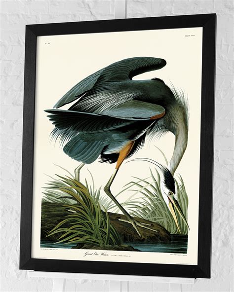 John James Audubon Great Blue Heron Pre Framed Art Print The Art Group
