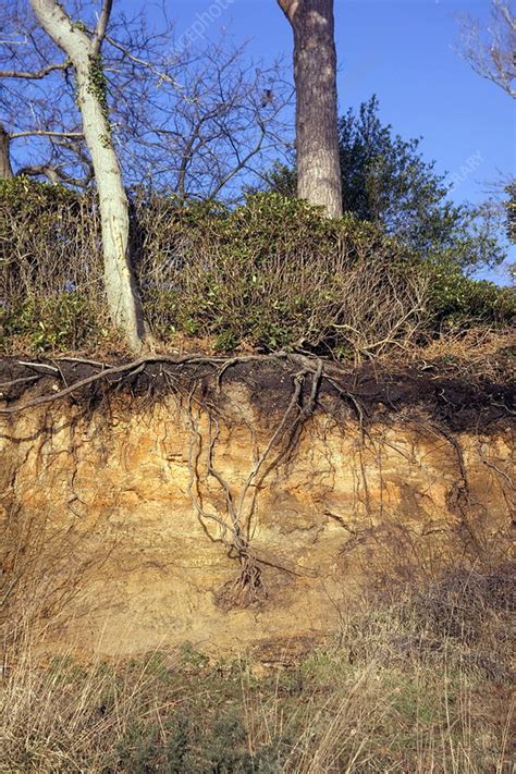 Coastal Erosion Stock Image E2850109 Science Photo Library