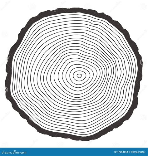 Vector Tree Rings Stock Vector Image