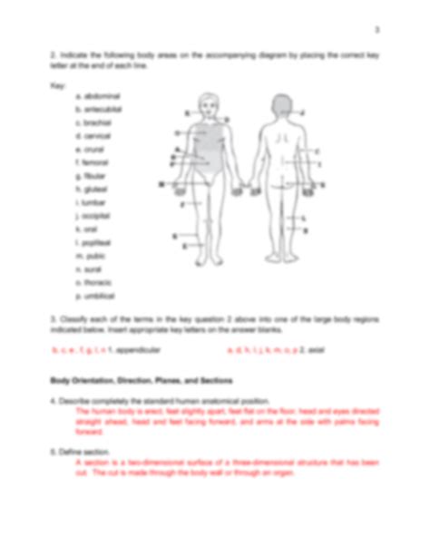 Solution The Language Of Anatomy Studypool