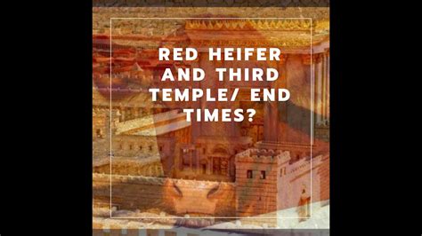 Red Heifer And The Third Temple End Times Prophecy Update 30 June