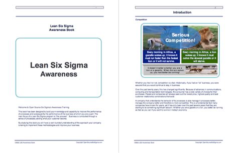 Lean Six Sigma Awareness E Book Isixsigma