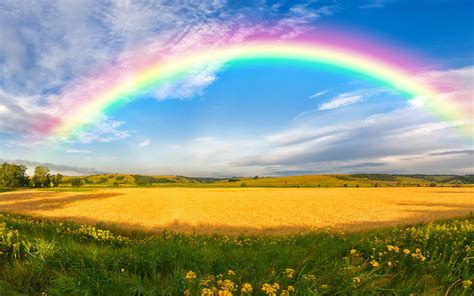 Rainbow Over Field