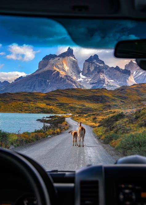 The 5 Best Places To Visit In Patagonia Nomadic Fare • Female Travel