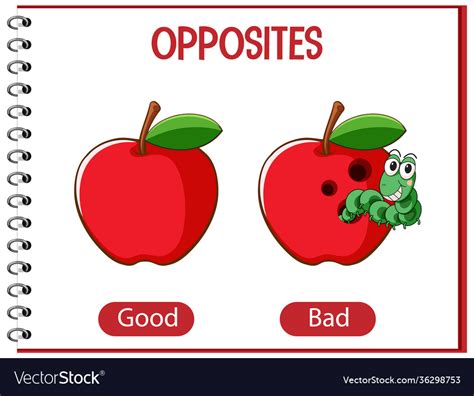Opposite Words With Good And Bad Royalty Free Vector Image