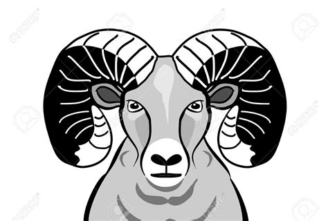 Bighorn Sheep Clipart 20 Free Cliparts Download Images On Clipground 2024