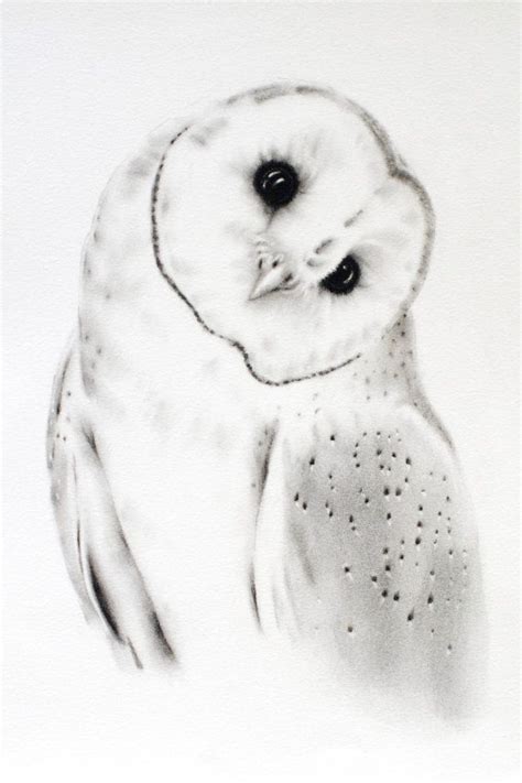 Snowy Owl Sketch At Explore Collection Of Snowy