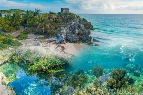 Tulum Snorkeling Tour Tulum Ruins Reef And Cenote
