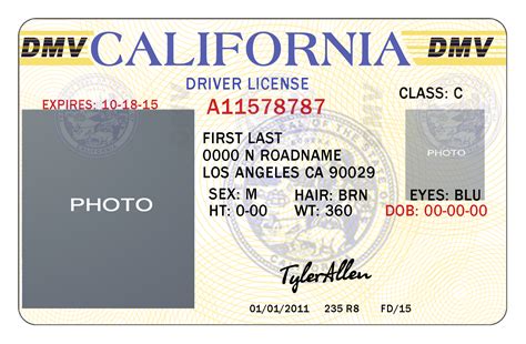 Printable Back Seat Drivers License
