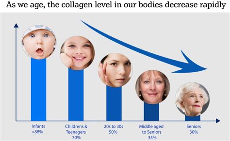 what is the link between ageing and collagen blog beauty treatments in marylebone amber
