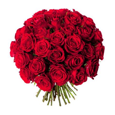 No flower greater signifies beauty, passion and romance more so than red roses, whether arranged in a stunning bouquet, as boxed roses, or a single rose given to someone special on valentine's day. Bouquet de rose enorme - l'atelier des fleurs