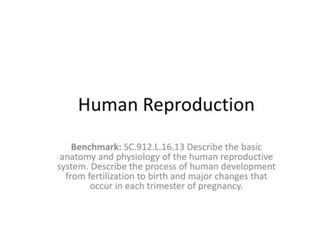 Ppt Human Reproduction Powerpoint Presentation Free Download Id2178008