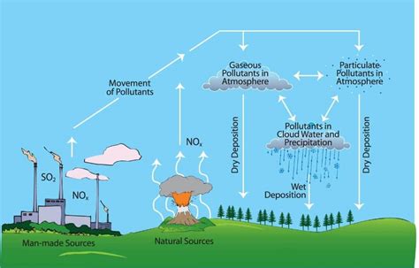 How Does Acid Rain Affect The Environment Earth Org