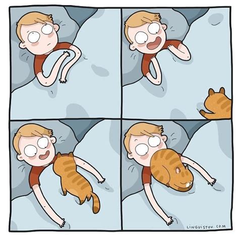 Every Cat Owner S Life Perfectly Illustrated In Funny Comics Demilked