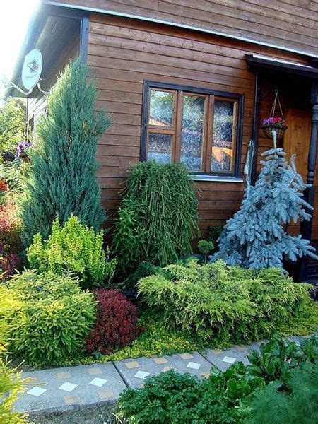 Chic Front Yard Garden With Dwarf Pine Tree Ideas Front Yard