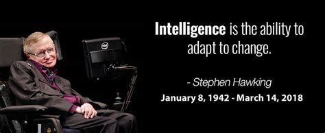 Stephen Hawkings Scientific Accomplishments And Memorable Quotes